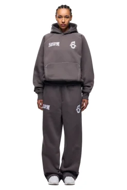 ICONS HOODIE ASH GREY
