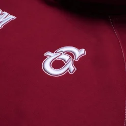 ICONS HOODIE BURNED RED