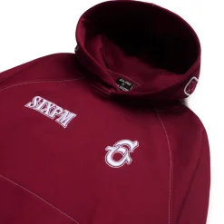 ICONS HOODIE BURNED RED