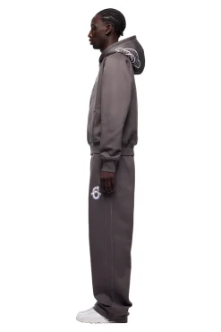 ICONS ZIP HOODIE ASH GREY